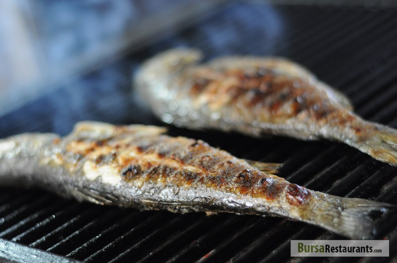 Barla Balık Mudanya'ya Yaz Geldi, İşte Çılgın Menü &gt;&gt; Bursa Restaurants