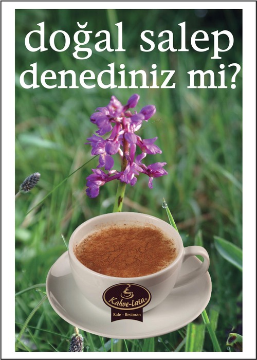 Kahve Lata Nilüfer Sıcacık Bir Doğal Salep Keyfi >> Bursa Restaurants