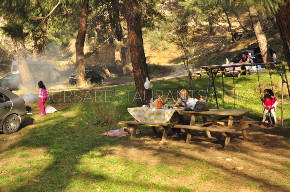 Çamlık Et Mangal Piknik Havasında Et Mangal Keyfi &gt;&gt; Bursa Restaurants